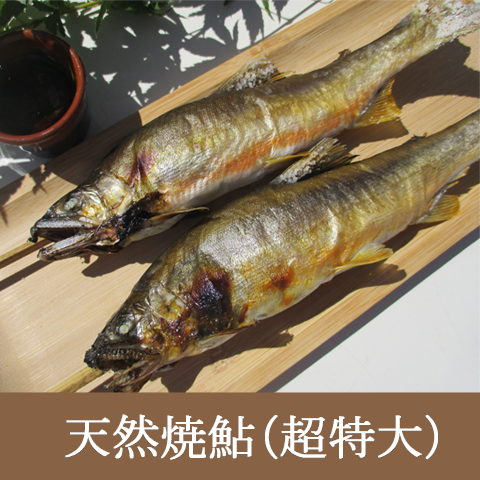 今年はこちらのサイズをオススメします!ぜひこの機会お見逃しなく!【天然焼鮎超特大サイズ】