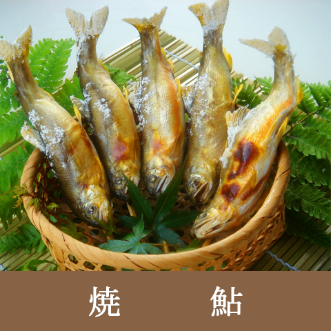 炭火で外は“パリっ ”と香ばしく中は“ふんわり”焼き上げました【焼鮎】
