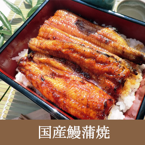 真空包装国産鰻蒲焼き(タレ，山椒付属)