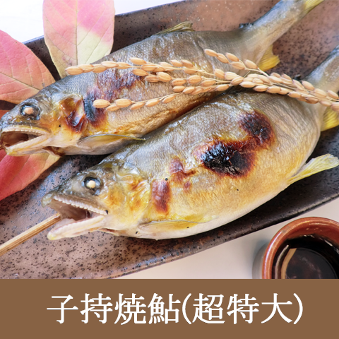 卵たぁ～っぷり、食べ応え満点【焼子持鮎超特大サイズ】