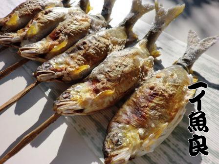 お子様やご年配の方にも大人気!【焼子持鮎特大サイズ】