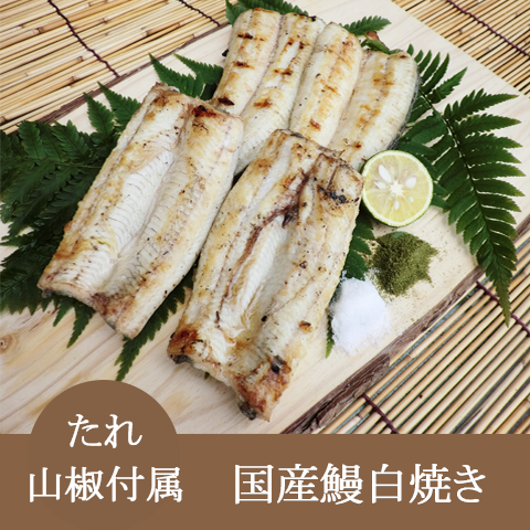 お店で活魚を捌き炭火で丁寧に焼き上げています!魚良の定番【国産うなぎの白焼きタレ山椒付属】