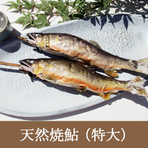 濃厚な味と香り、一度食べたら忘れられない味わい!【天然焼鮎特大サイズ】