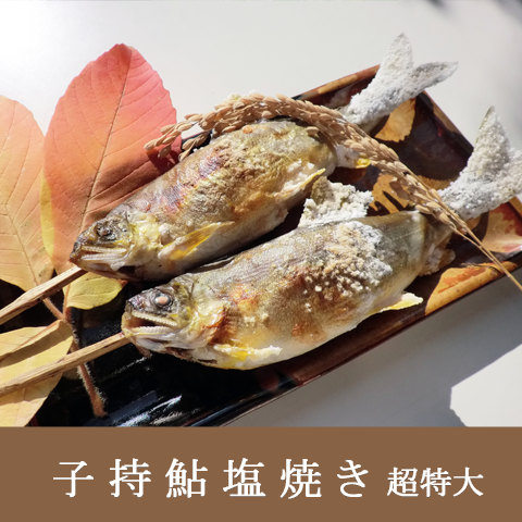 卵たぁ～っぷり、食べ応え満点【子持鮎塩焼き超特大サイズ】