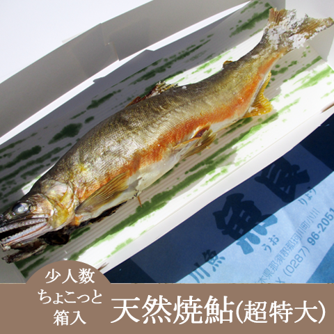 今年はこちらのサイズをオススメします!ぜひこの機会お見逃しなく!【ちょこっと箱入天然焼鮎超特大サイズ】