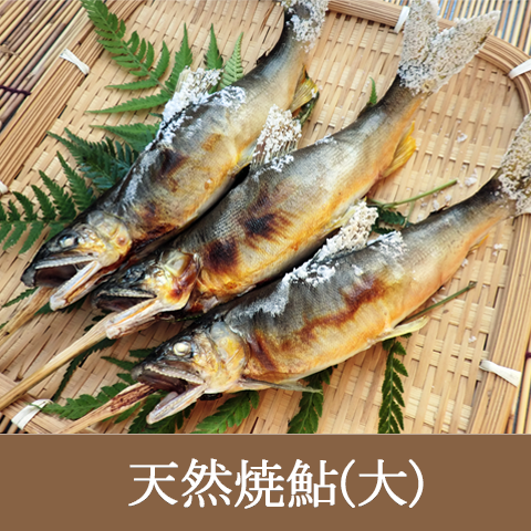 濃厚な味と香り、一度食べたら忘れられない味わい!【天然焼鮎大サイズ】