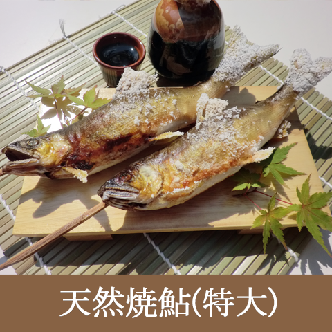 濃厚な味と香り、一度食べたら忘れられない味わい!【天然焼鮎特大サイズ】