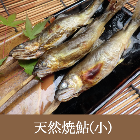 天然鮎ツウに人気!那珂川の恵みを丸ごと味わえます!一度食べたらクセになります!【天然焼鮎小サイズ】