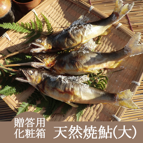 濃厚な味と香り、一度食べたら忘れられない味わい!【天然焼鮎大サイズ】