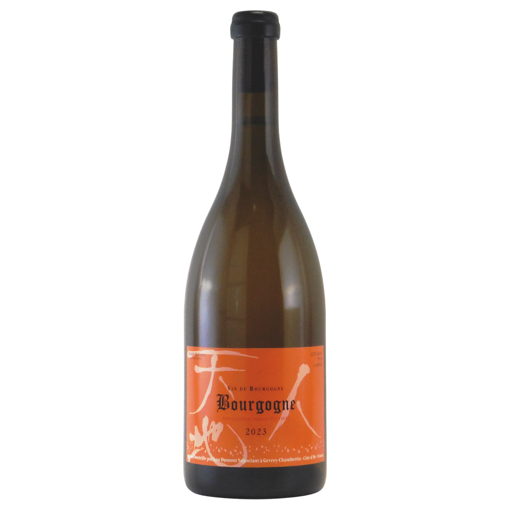 ブルゴーニュ・ブラン 2023 ルーデュモン　フランス ブルゴーニュ 白ワイン 750ml