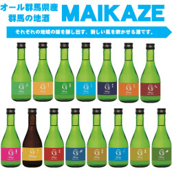 オール群馬の地酒 「舞風」 飲み比べ 300ml×15本セット 群馬県１５蔵