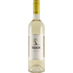 ブラン・ド・カベルネ 2020 ラダチーニ　モルドバ 白ワイン 750ml