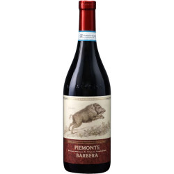 ピエモンテ・バルベーラ 2017 テッレ・デル・バローロ　イタリア ピエモンテ 赤ワイン 750ml