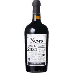 ヴィーノ・ノヴェッロ 2024 ファンティーニ（ファルネーゼ）　イタリア アブルツォ 赤ワイン 750ml