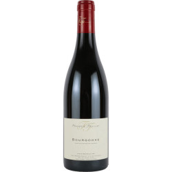 ブルゴーニュ・ルージュ 2019 フランソワ・フュエ　フランス ブルゴーニュ 赤ワイン 750ml