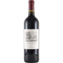 シャトー・デュアール・ミロン 第４級 2015 シャトー元詰　フランス ボルドー 赤ワイン 750ml