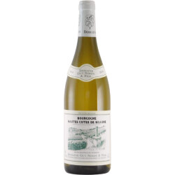 オート・コート・ド・ボーヌ・ブラン 2019 ドメーヌ・ギィ・シモン・エ・フィス　フランス ブルゴーニュ 白ワイン 750ml