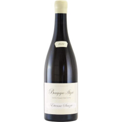 ブルゴーニュ・アリゴテ 2022 エティエンヌ・ソゼ　フランス ブルゴーニュ 白ワイン 750ml
