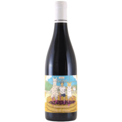ピノ・ノワール ヴァン・ド・フランス 2021 オオハシ・リョウ　フランス 赤ワイン 750ml