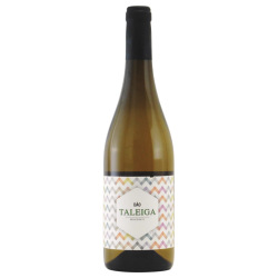 タイレガ ブランコ 2022 ソイト　ポルトガル ダン 白ワイン 750ml