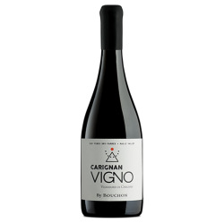ヴィーニョ・カリニャン 2020 ブション　チリ マウレ・ヴァレー 赤ワイン 750ml