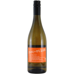 ピノ・グリージョ 2023 ネコティウム　イタリア フリウリ 白ワイン 750ml