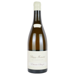 ピュリニー・モンラッシェ・ブラン 2023 エティエンヌ・ソゼ　フランス ブルゴーニュ 白ワイン 750ml