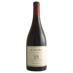 コノスル・シングルヴィンヤード ピノ・ノワール 2020 コノスル　チリ サンアントニオヴァレー 赤ワイン 750ml
