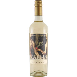 カルマ・ブラン・ド・マルベック 2020 フィンカ・ソフェニア　アルゼンチン メンドーサ 白ワイン 750ml