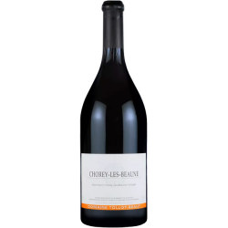ショレイ・レ・ボーヌ 2020 トロ・ボー　フランス ブルゴーニュ 赤ワイン 750ml