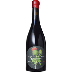 ナトゥラレサ サルバへ 17 アスル イ ガランサ スペイン ナバーラ オレンジワイン 750ml ワイン 地酒 焼酎なら 高崎の 仲沢酒店