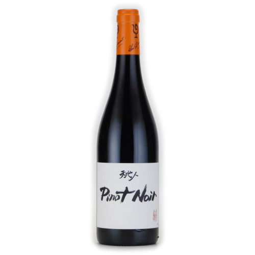 ピノ・ノワール 2019 ルーデュモン フランス ラングドック 赤ワイン 750ml ピノ・ノワール 2015 ルーデュモン フランス ラングドック 赤ワイン 750ml