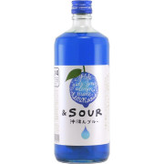 沖縄んブルー リキュール　福岡県 小林酒造本店 720ml