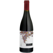 アイララ・ティント 2017 アイララ－アイラレオ　スペイン リベイロ 赤ワイン 750ml