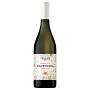 ロマーニャ・アルバーナ・セッコ “カンポドーラ”DOCG 2023 ポデーリ・ダル・ネスポリ　イタリア エミリア・ロマーニャ 白ワイン 750ml