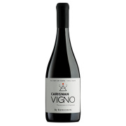 ヴィーニョ・カリニャン 2020 ブション　チリ マウレ・ヴァレー 赤ワイン 750ml