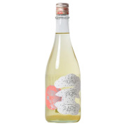 龍勢 貴醸酒生酒　広島県藤井酒造 720ml