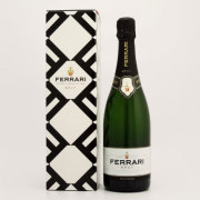 フェラーリ・ブリュット スプマンテ　イタリア トレンティー 白ワイン 750ml