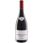 ブルゴーニュ・ピノ・ノワール 2023 コワイヨ　フランス ブルゴーニュ 赤ワイン 750ml