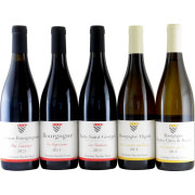 ニコラ・フォール２０２１年ヴィンテージ５本セット