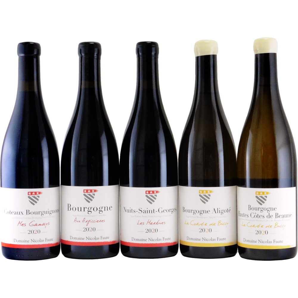 ニコラ・フォール２０２０年ヴィンテージ５本セット