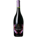 ヴィーノ・ノヴェッロ 2024 ヴェレ・ノージ　イタリア マルケ 赤ワイン 750ml