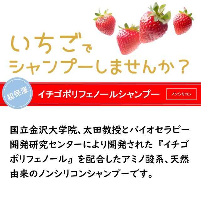 いちごポリフェノール配合ノンシリコンシャンプー 高い保湿力で髪をしっとり洗い上げます。「いちごしずくシャンプー 1L」