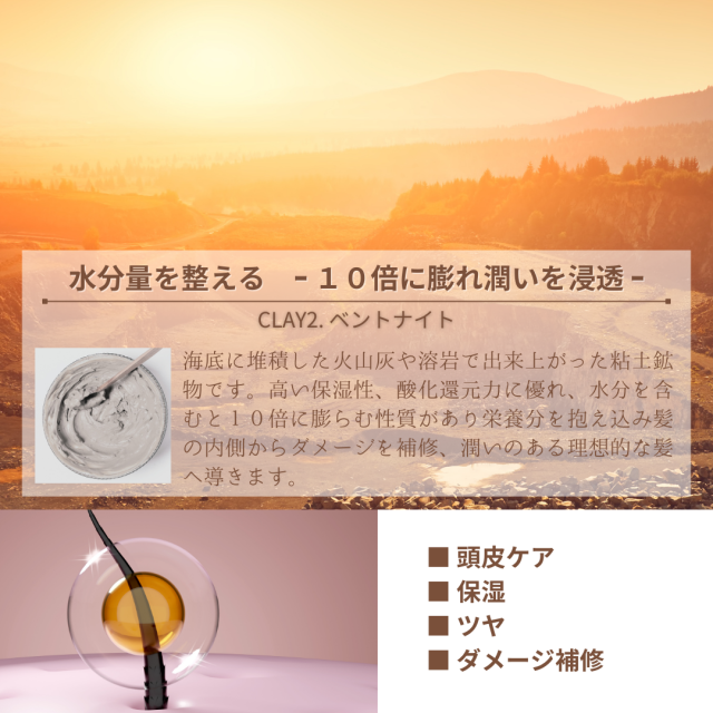 2種の泥ミネラルでヘアエステ COM(コム) 洗い流すタイプのヘアトリートメント ノンシリコン