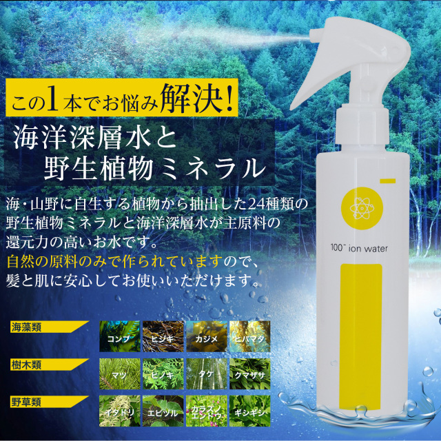 送料無料【ツヤ・サラが欲しい方】海洋深層水と植物ミネラル 髪質改善 髪の水分整えるイオントリートメント「アイマイナス 200ml」スプレータイプ