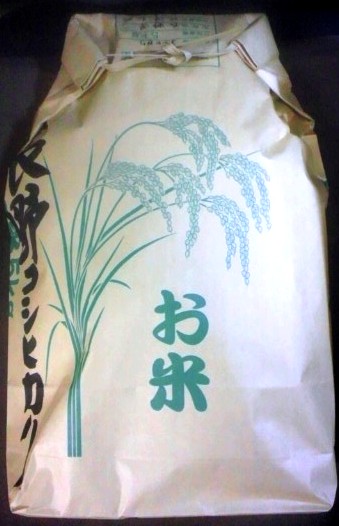 長野県産天日干しこしひかり 5kg 令和７年産　