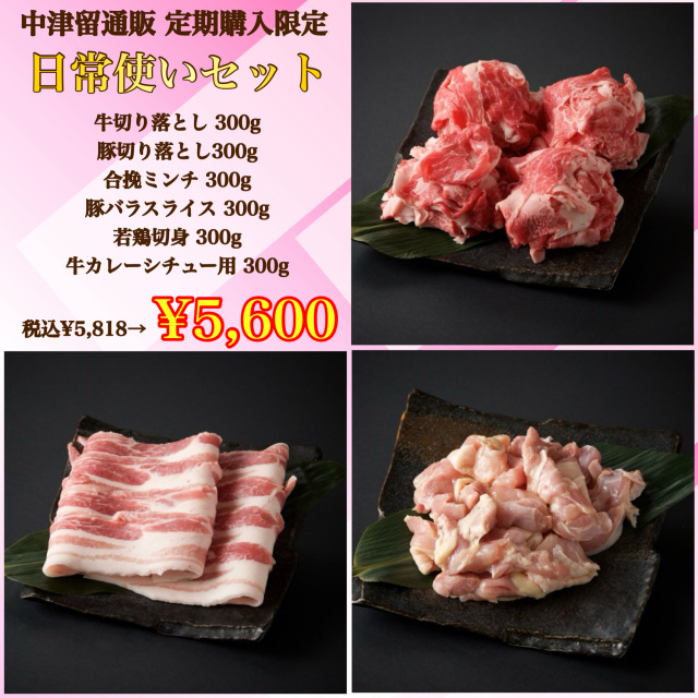 【定期購入専用セット】日常使いセット