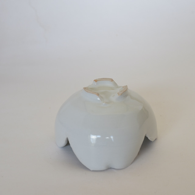 【新品】中里隆　アンダーソンランチ　白磁平皿 中里隆 アンダーソンランチ 青白磁しのぎ文蓋物 器作家の和食器