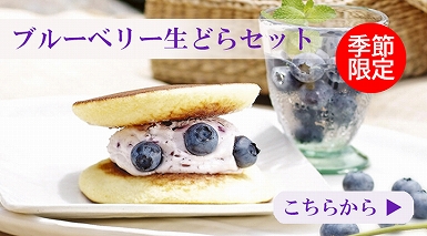 ブルーベリーバナー中