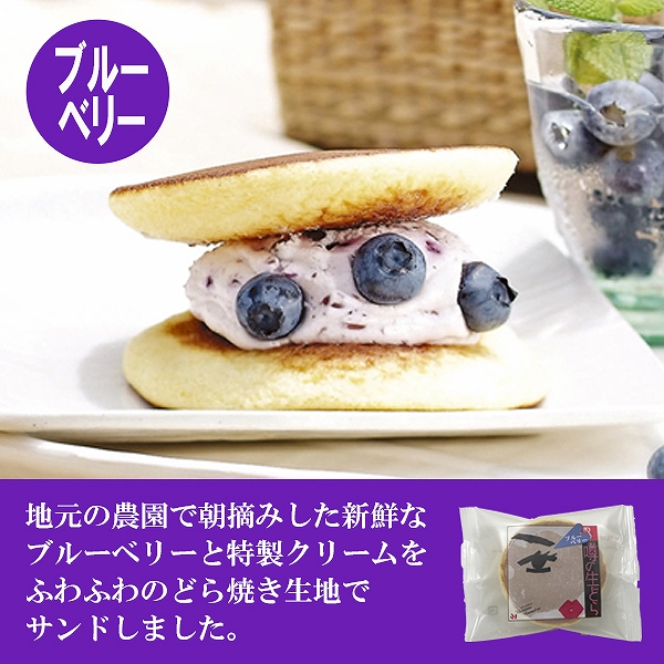 ブルーベリー紹介S